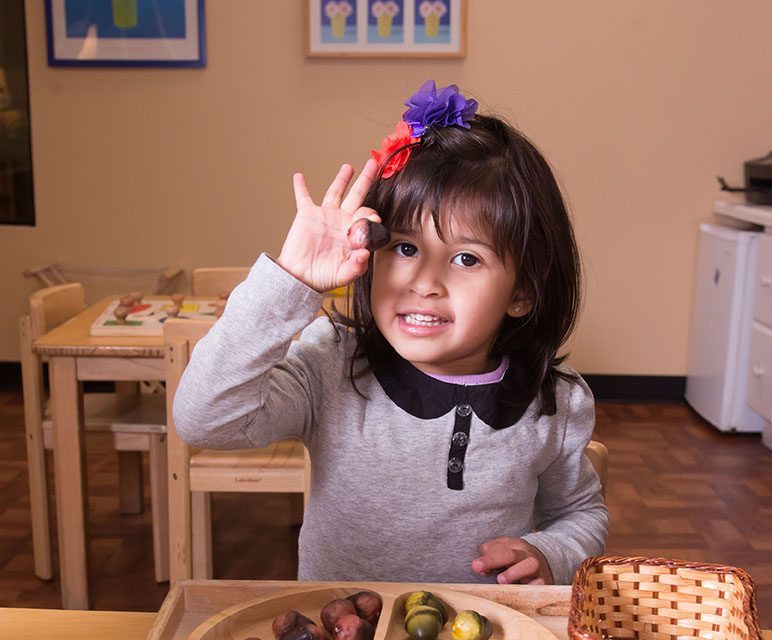 Dear Cathie: The Price of Montessori