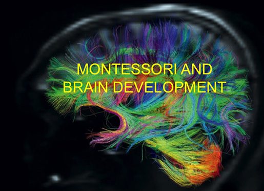 A Year of Wonder: The Neuroscience of Empathy