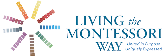 Montessori Research Outcomes: A Longitudinal Study