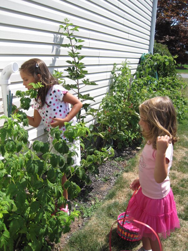 Summertime Montessori Fun for the Whole Family